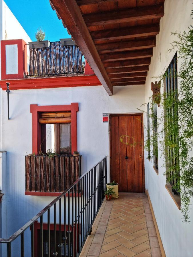 Loft & Private Rooftop With Bbq Sevilla Exteriér fotografie