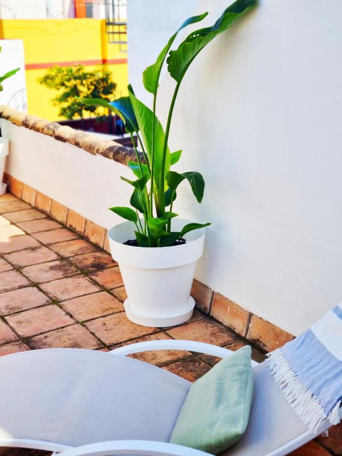 Loft & Private Rooftop With Bbq Sevilla Exteriér fotografie